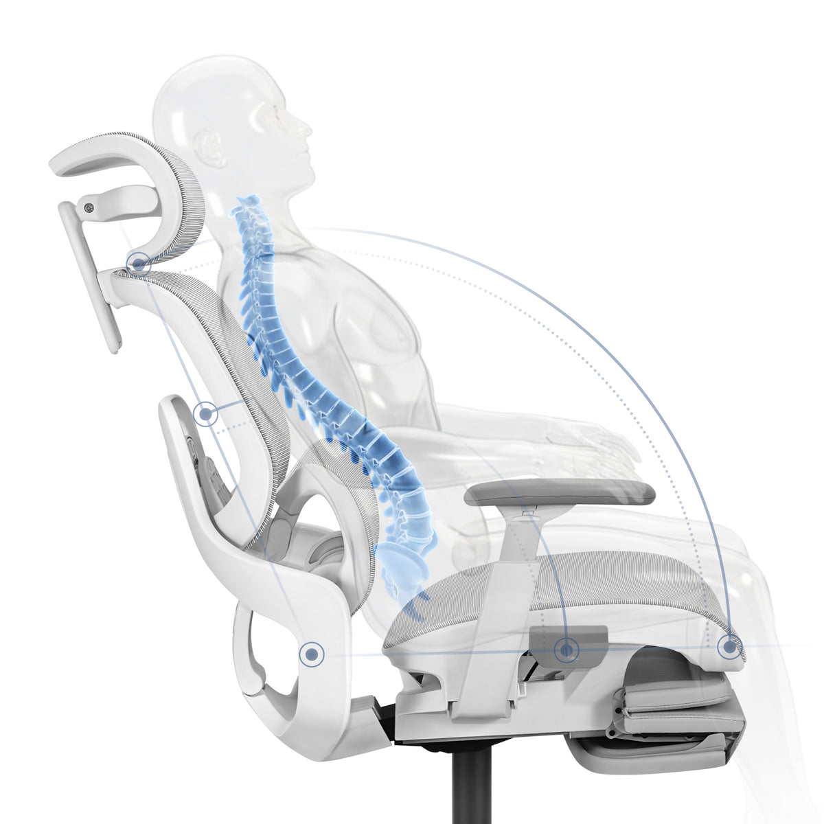Adjustable lumbar-sacral support